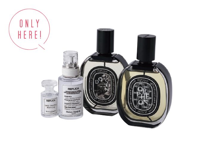 アレックスコンフォート